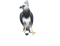 Logo ANTEMA